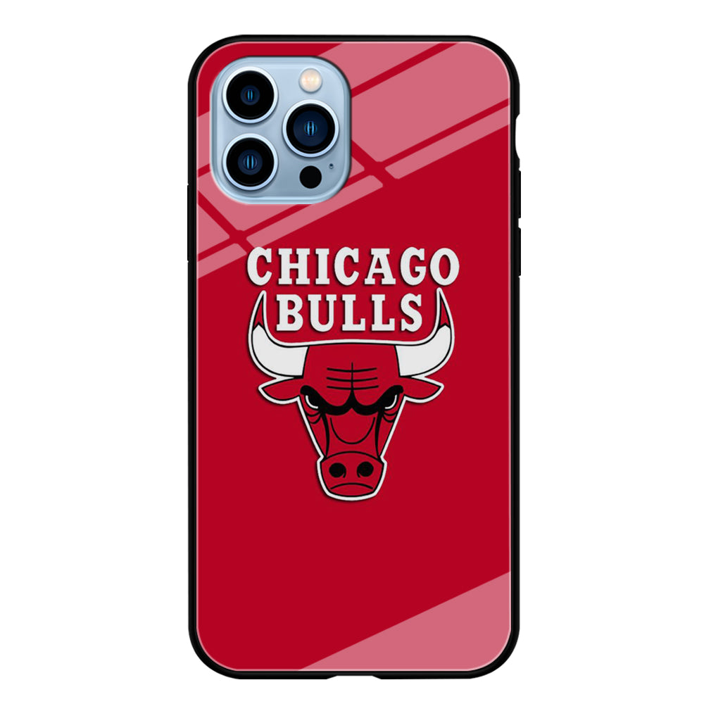 NBA Chicago Bulls Basketball 001 iPhone 15 Pro Max Case-Phone Case-Tempered Glass Case-Altracase