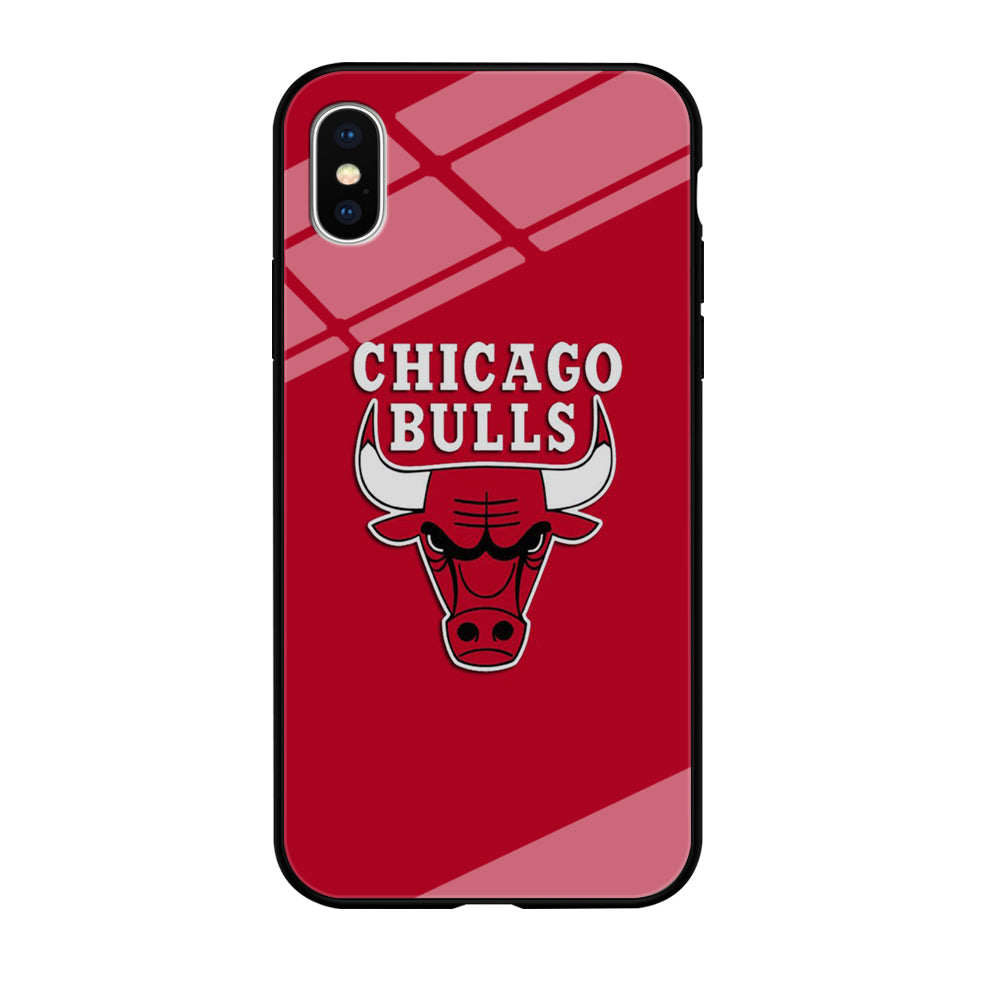 NBA Chicago Bulls Basketball 001 iPhone Xs Case-Phone Case-Tempered Glass Case-Altracase