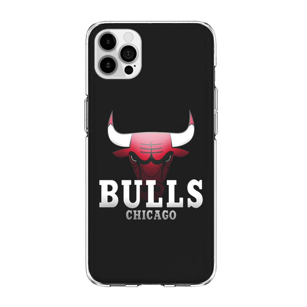 NBA Chicago Bulls Basketball 002 iPhone 15 Pro Max Case-Phone Case-Clear Soft Case-Altracase
