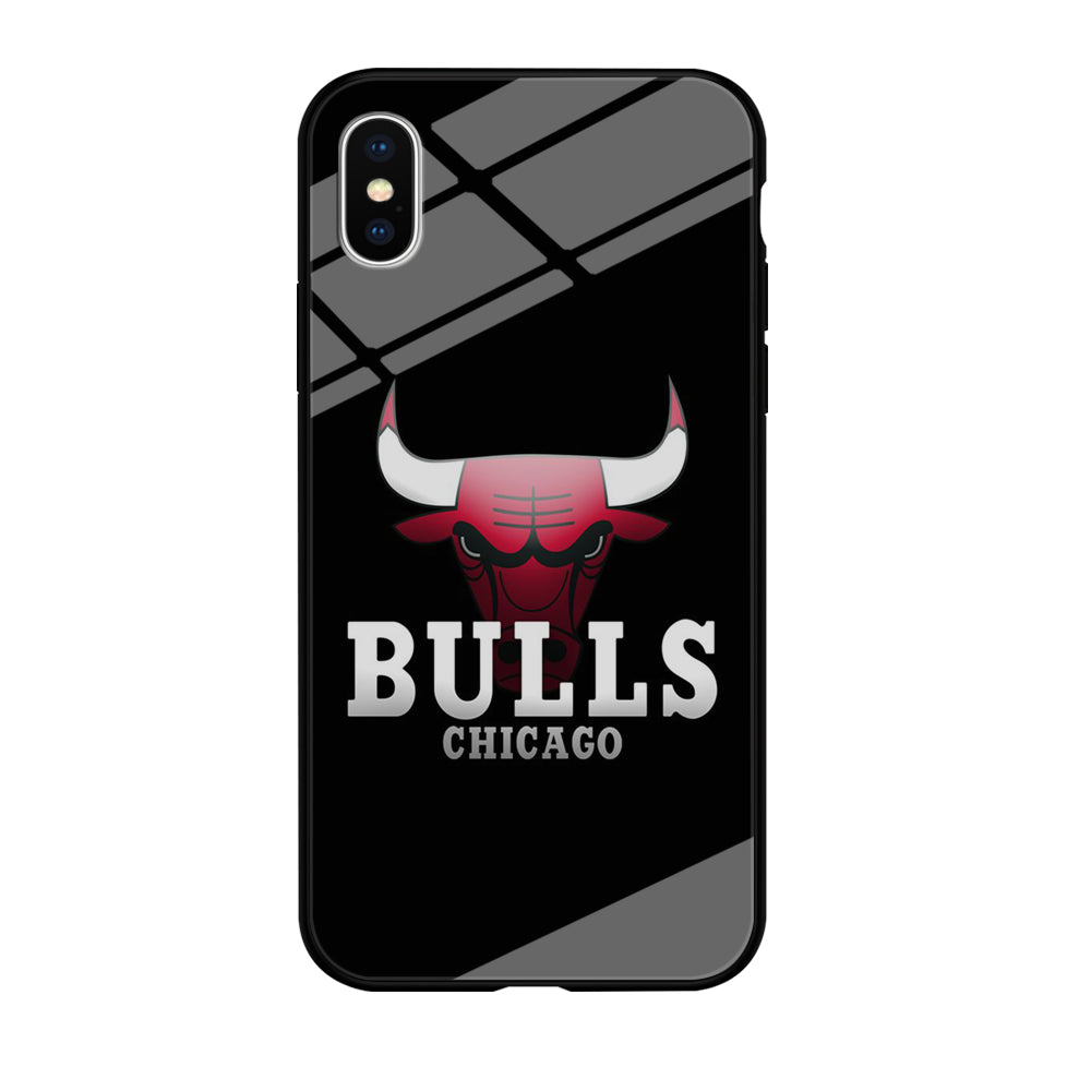 NBA Chicago Bulls Basketball 002 iPhone Xs Case-Phone Case-Tempered Glass Case-Altracase