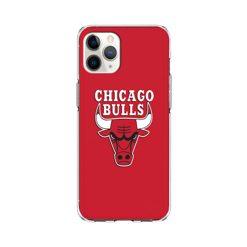 NBA Chicago Bulls Basketball 001 iPhone 11 Pro Max Case-Phone Case-Clear Soft Case-Altracase