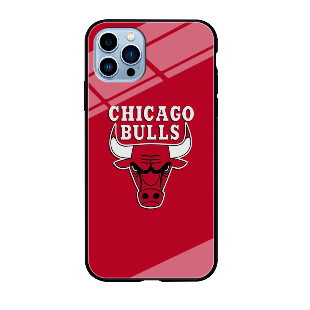 NBA Chicago Bulls Basketball 001 iPhone 12 Pro Max Case-Phone Case-Tempered Glass Case-Altracase