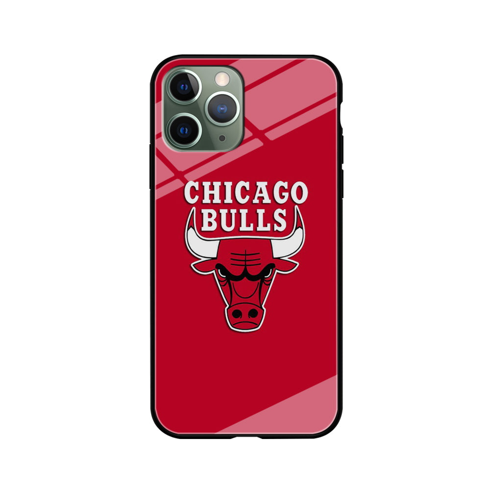 NBA Chicago Bulls Basketball 001 iPhone 11 Pro Max Case-Phone Case-Tempered Glass Case-Altracase