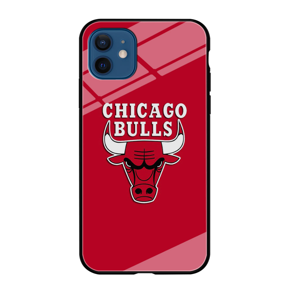 NBA Chicago Bulls Basketball 001 iPhone 12 Case-Phone Case-Tempered Glass Case-Altracase