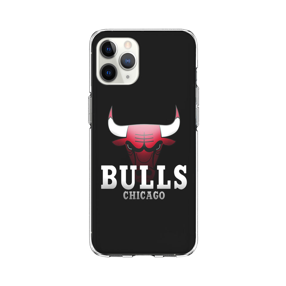 NBA Chicago Bulls Basketball 002 iPhone 11 Pro Max Case-Phone Case-Clear Soft Case-Altracase