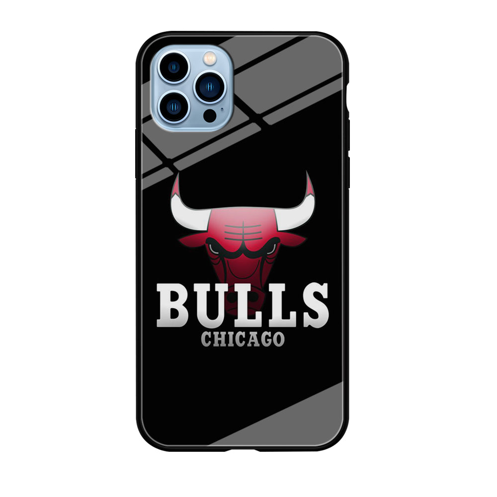 NBA Chicago Bulls Basketball 002 iPhone 12 Pro Max Case-Phone Case-Tempered Glass Case-Altracase