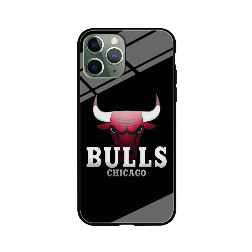 NBA Chicago Bulls Basketball 002 iPhone 11 Pro Max Case-Phone Case-Tempered Glass Case-Altracase