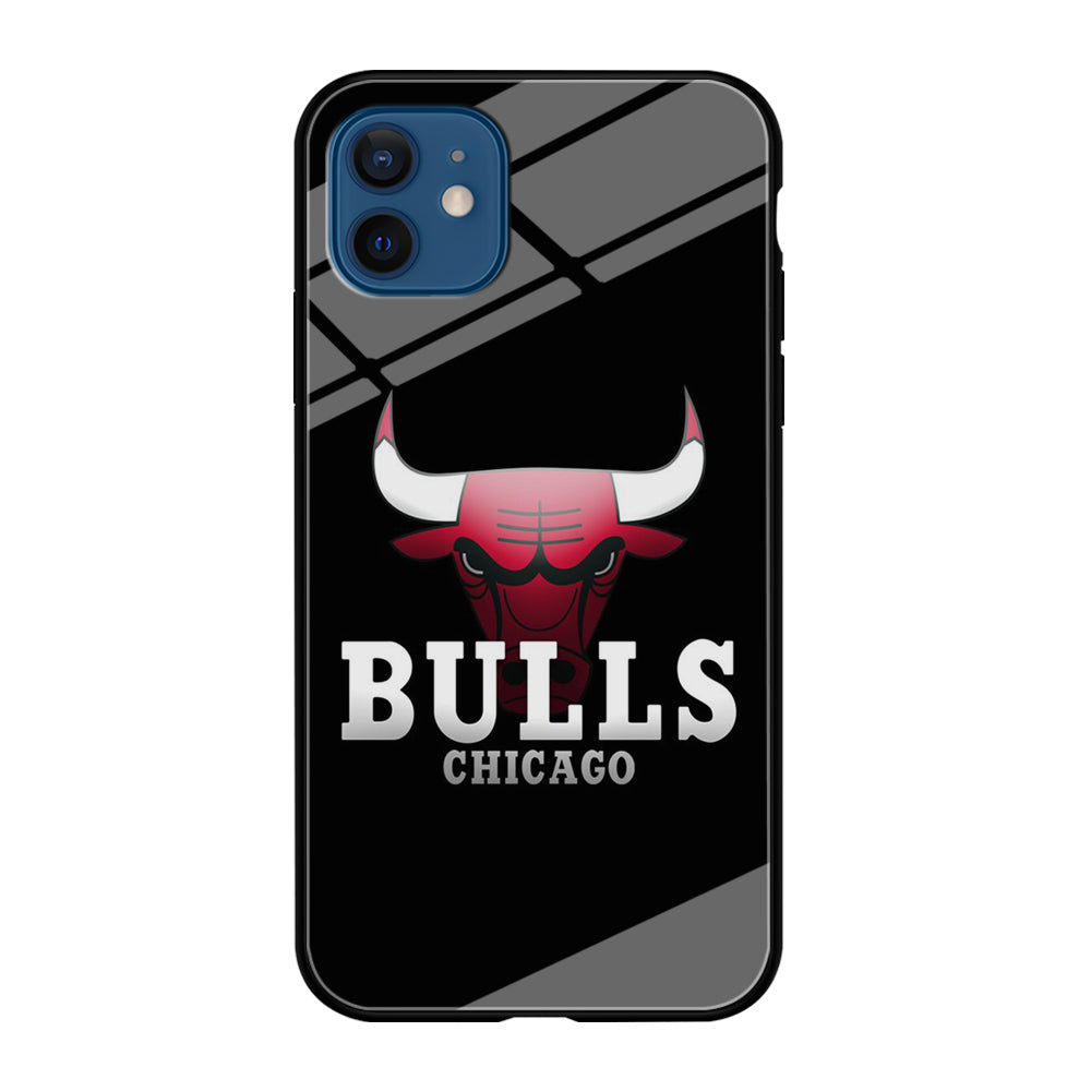 NBA Chicago Bulls Basketball 002 iPhone 12 Mini Case-Phone Case-Tempered Glass Case-Altracase