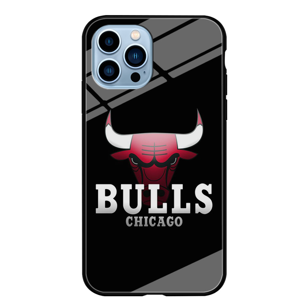 NBA Chicago Bulls Basketball 002 iPhone 15 Pro Case-Phone Case-Tempered Glass Case-Altracase