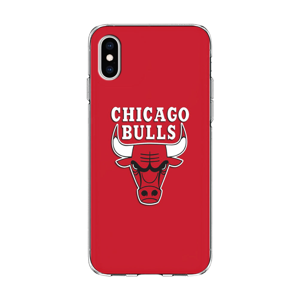 NBA Chicago Bulls Basketball 001 iPhone Xs Case