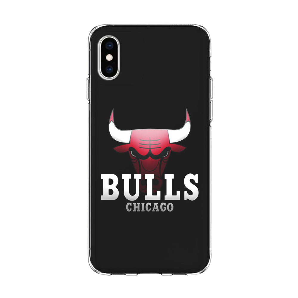 NBA Chicago Bulls Basketball 002 iPhone Xs Case