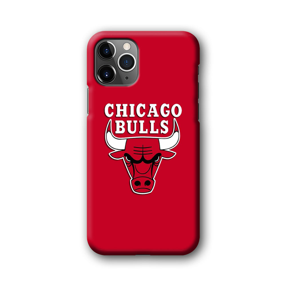 NBA Chicago Bulls Basketball 001 iPhone 11 Pro Case