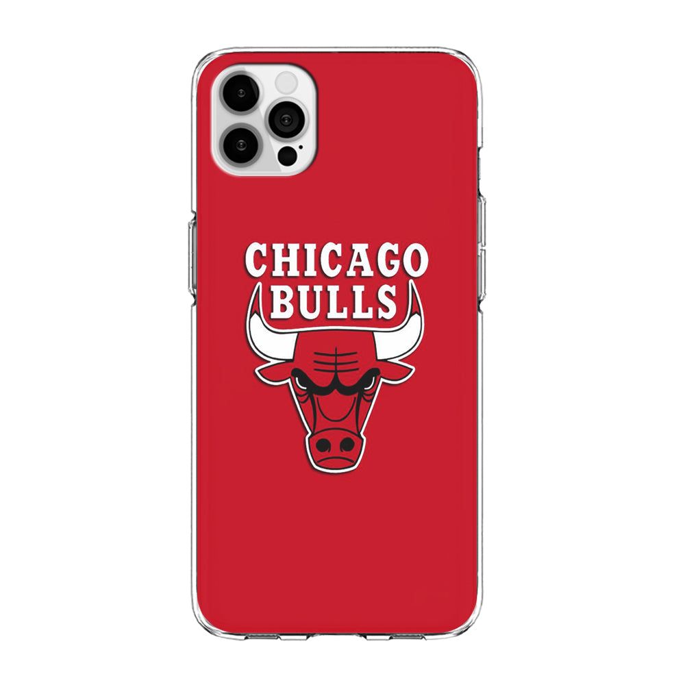 NBA Chicago Bulls Basketball 001 iPhone 13 Pro Max Case