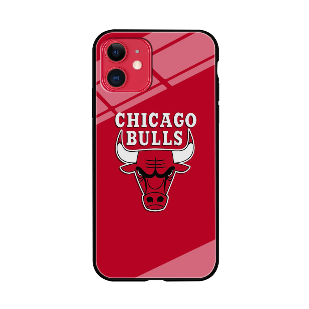 NBA Chicago Bulls Basketball 001 iPhone 11 Case