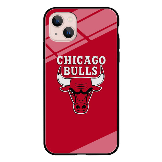 NBA Chicago Bulls Basketball 001 iPhone 13 Mini Case