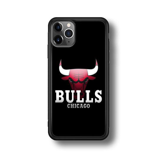 NBA Chicago Bulls Basketball 002 iPhone 11 Pro Case